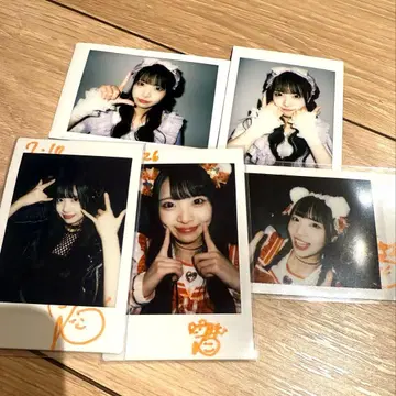 iLiFE! 코구마 마무 폴라로이드 묶음 판매