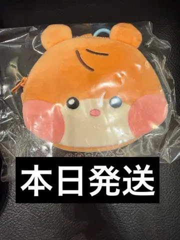 zb1 zeroni 비니니 binini 사진 홀더 파우치 한빈