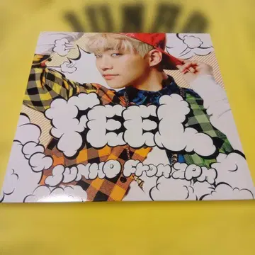 2PM 준호 FEEL 완전 생산 한정판 CD LP 사이즈