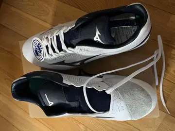 미즈노 웨이브 라보