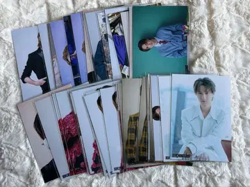 BUDDiiS YUMA 브로마이드 39장 묶음 판매