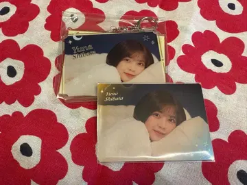 노기자카 모바일 A상/B상 시바타 유나