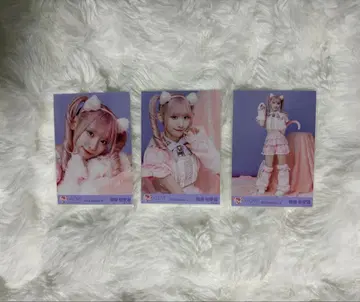 =LOVE 사이토 쥬라 고양이 의상 컴프 브로마이드