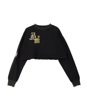 Ameri Vintage OVER VOLUME WAPPEN MA-1