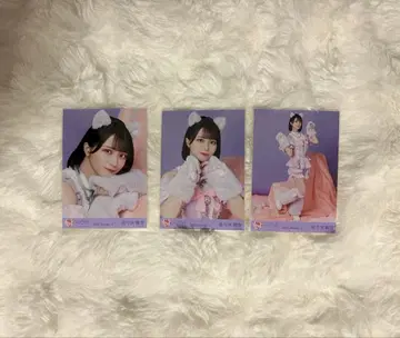 =LOVE 사사키 마이카 고양이 의상 컴프 브로마이드