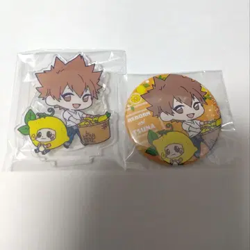 가정교사 히트맨 REBORN 캔뱃지 아크릴 스탠드 사와다 츠나요시 리본