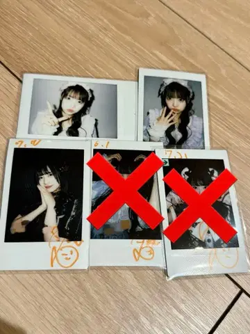 iLiFE! 코구마 마무 폴라로이드 묶음 판매