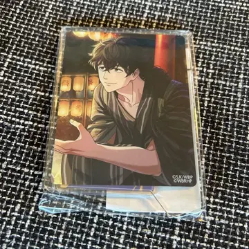 WIND BREAKER 불량들의 영웅담 비주얼 아크릴 스탠드 토카게 조