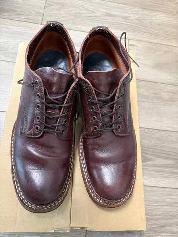 화이트 옥스퍼드