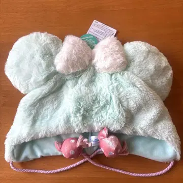 디즈니 팬캡 팔팔루자