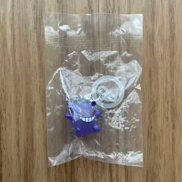 포켓몬 메지루시 액세서리 겐가