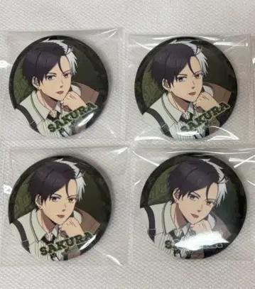 WINDBREAKER 벚꽃 하루카 캔뱃지 묶음 판매