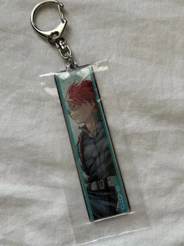 히로아카 원화전 토도로키 쇼토 메탈 키링 컬렉션