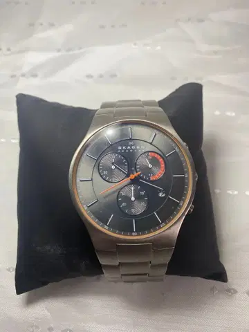 SKAGEN DENMARK 쿼츠 손목시계 SKW6076