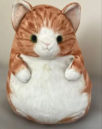고양이 봉제 인형