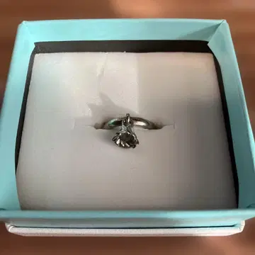 FINAL FANTASY X 실버 핑키링