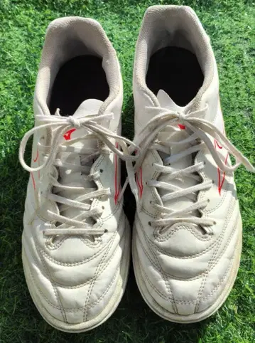 MIZUNO 모나르시다 네오 트레이닝 슈즈 25.5cm