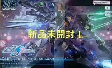 즉시 결제 OK! 미개봉 새상품 HGCE 듀얼 블리츠 건담 건담 SEED