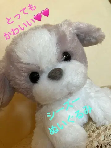 정말 귀여운 시추 봉제 인형