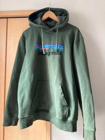 파타고니아 Patagonia 후드티