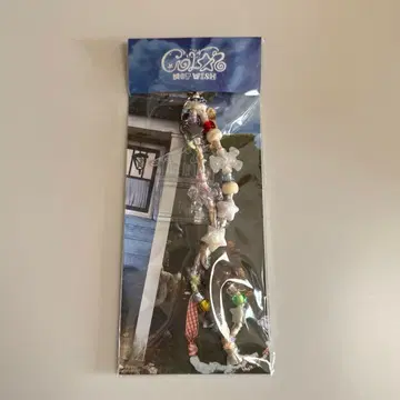 nct wish 미니 프레임 키링 세트