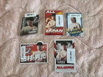 전일본 프로레슬링 타무라 단지 웹 묶음 판매