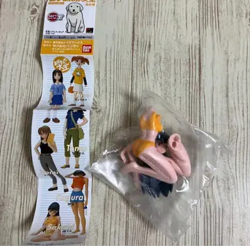 아즈망가 대왕 HGIF 채색 리얼 피규어 사카키 씨 반다이