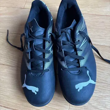 Puma 블랙 트레이닝 슈즈