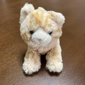 산레몬 고양이 봉제 인형
