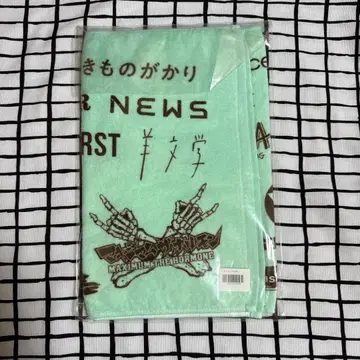 Dream Festival 2023 타월 민트 그린