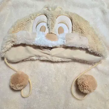 디즈니 팬캡 데일