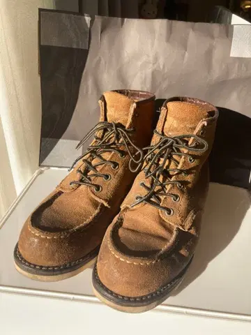 레드윙 8861 US 7.5 E 와이즈 25.5