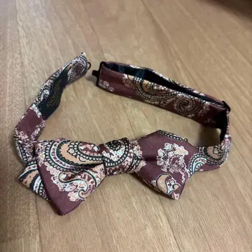 KNOX & TAYLOR 페이즐리 보타이