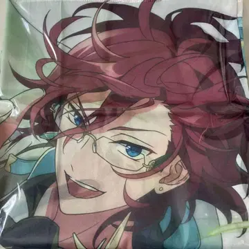 사에구사 이바라 시어 스톨 9주년