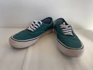 한정판 VANS AUTHENTIC PRO 오센틱 그린 스케이트보드