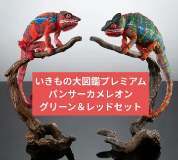 생물대도감 프리미엄 팬서 카멜레온 앰비 로브 그린 레드 세트