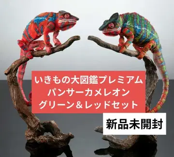 생물대도감 프리미엄 팬서 카멜레온 앰비 로브 그린 레드 세트