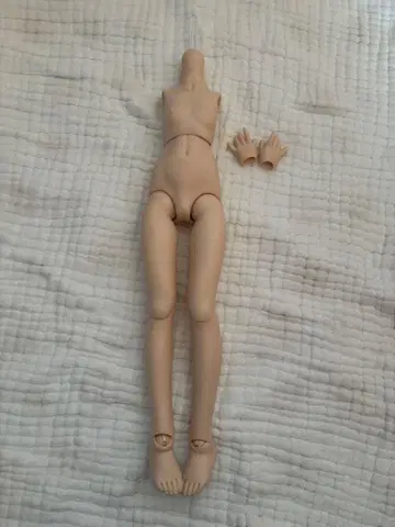 MDD 바디 프레쉬 스킨 부품