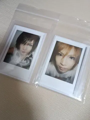 골든 봄버 긴바쿠 키류인 쇼 폴라로이드 사진 새상품급 세트