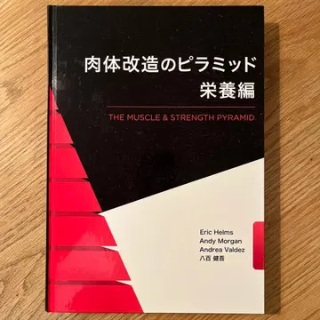 신체 개조의 피라미드 영양편