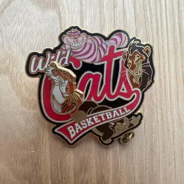wdw 디즈니 와일드캣 basketball 핀 배지 1500