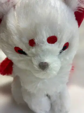 초레어 쵸콘과 여우 구미호 꽃야행 JB 봉제 인형 우이로 명찰 부착