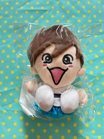 나니와단시 후지와라 죠이치로 치비누이 미개봉