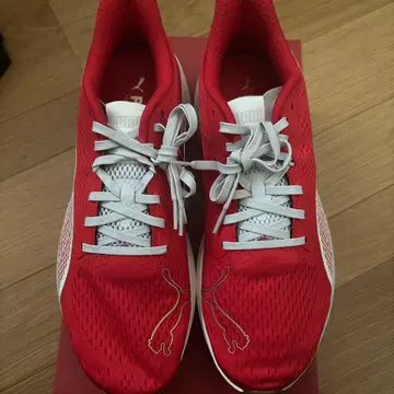 Puma 러닝화 레드