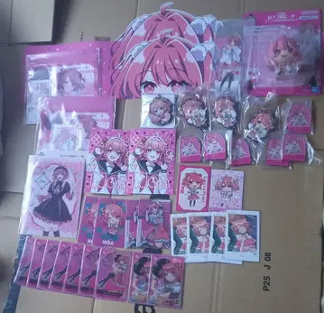 카라피치 노아 묶음 판매