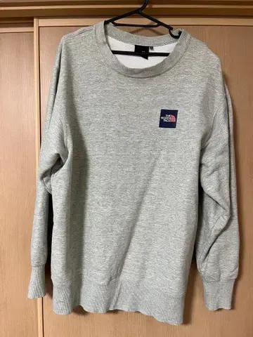 THE NORTH FACE 그레이 맨투맨 M