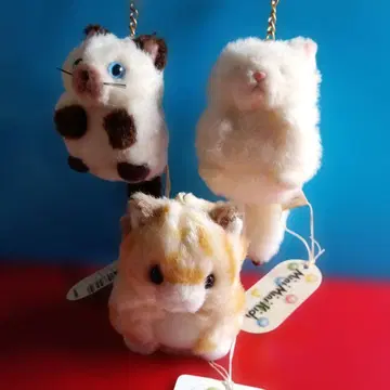 TAKENOKO 아기 고양이 모여라!