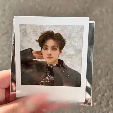 시가 리쿠 폴라로이드