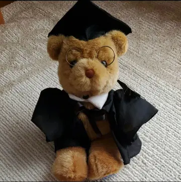 멜버른 대학 곰 봉제 인형