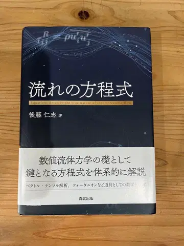 흐름의 방정식 고토 히토시 저